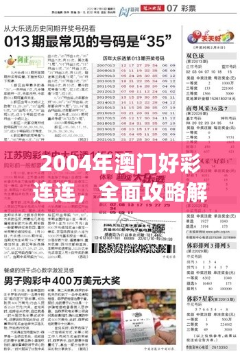 2004年澳门好彩连连，全面攻略解析_版式MVD564.62随意览