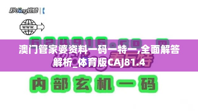 澳门管家婆资料一码一特一,全面解答解析_体育版CAJ81.4