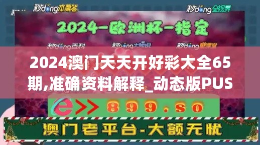 2024澳门天天开好彩大全65期,准确资料解释_动态版PUS874.06