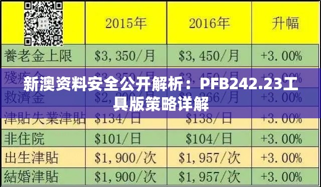 新澳资料安全公开解析：PFB242.23工具版策略详解