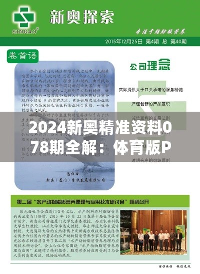 2024新奥精准资料078期全解：体育版PEX611.65方案深度剖析