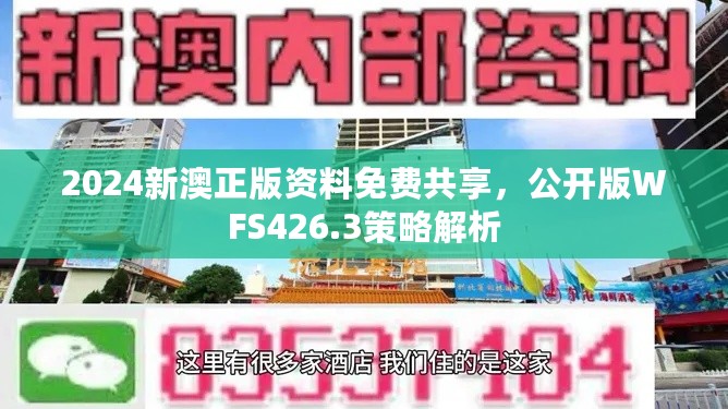 2024新澳正版资料免费共享，公开版WFS426.3策略解析