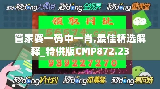 管家婆一码中一肖,最佳精选解释_特供版CMP872.23