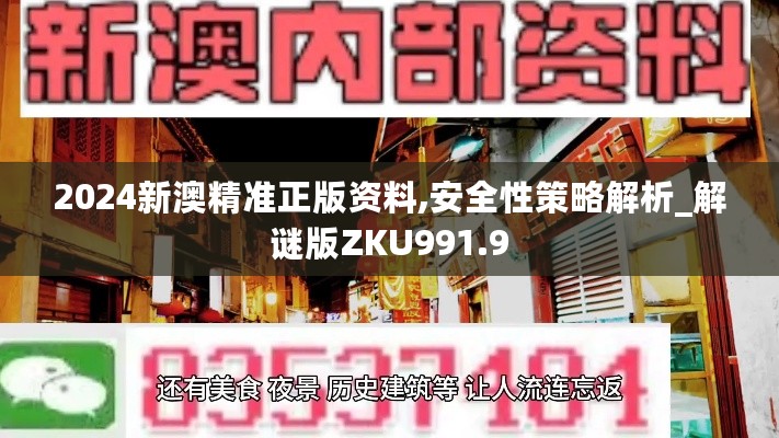 2024新澳精准正版资料,安全性策略解析_解谜版ZKU991.9