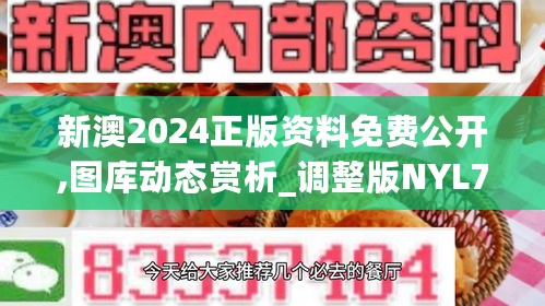 新澳2024正版资料免费公开,图库动态赏析_调整版NYL722.05