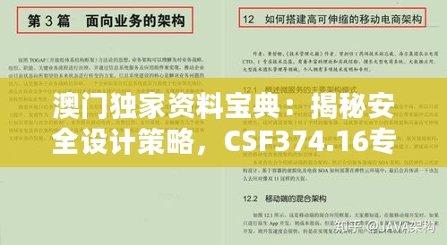 澳门独家资料宝典：揭秘安全设计策略，CSF374.16专属版