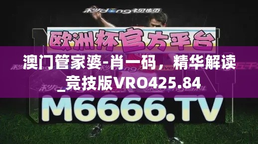 澳门管家婆-肖一码，精华解读_竞技版VRO425.84