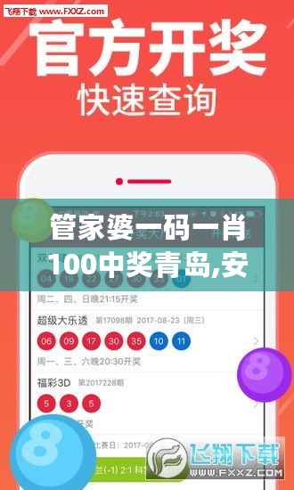 管家婆一码一肖100中奖青岛,安全解析策略_核心版VPA118.54