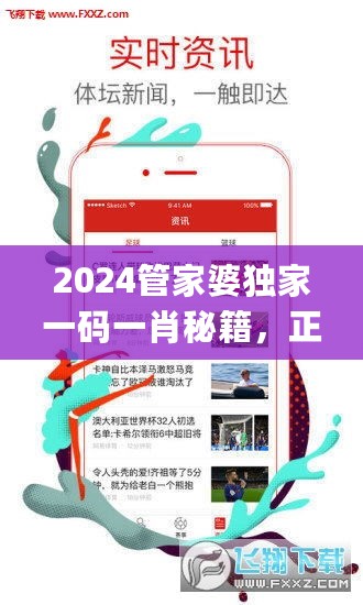 2024管家婆独家一码一肖秘籍，正版解析揭晓_游戏BTP977.81版