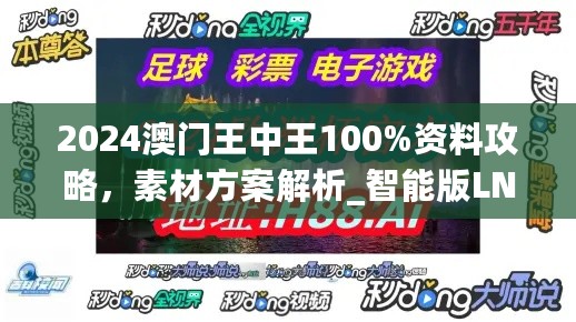 2024澳门王中王100%资料攻略，素材方案解析_智能版LNB323.8