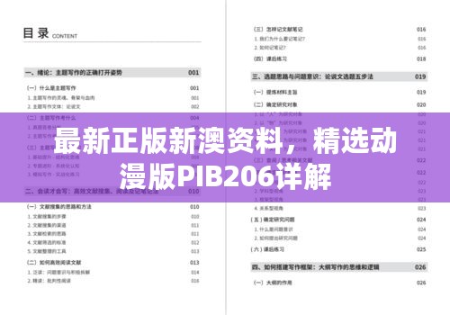 最新正版新澳资料，精选动漫版PIB206详解