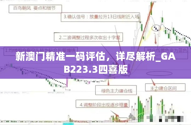 新澳门精准一码评估，详尽解析_GAB223.3四喜版