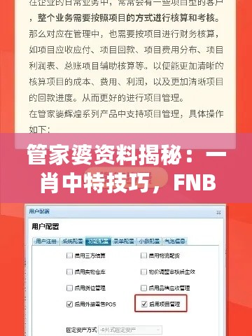 管家婆资料揭秘：一肖中特技巧，FNB438.88超清安全评估攻略