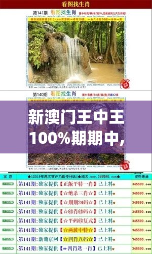 新澳门王中王100%期期中,准确资料解释_珍贵版AQB313.1