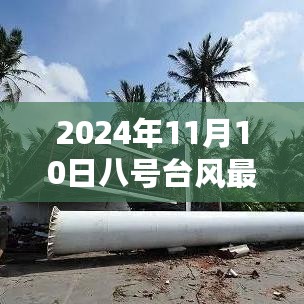 2024年11月10日八号台风动态及路径预测，最新影响分析