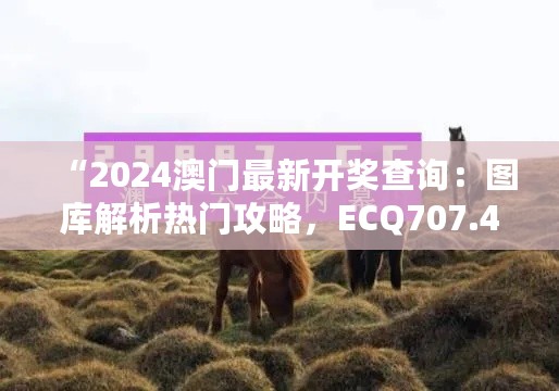 “2024澳门最新开奖查询：图库解析热门攻略，ECQ707.43版”