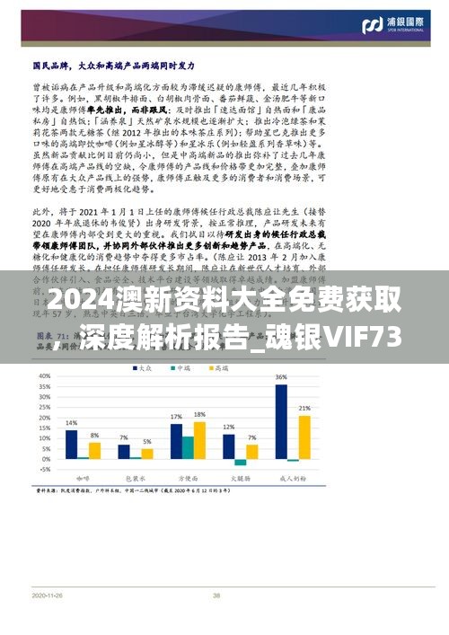 2024澳新资料大全免费获取，深度解析报告_魂银VIF73.41版