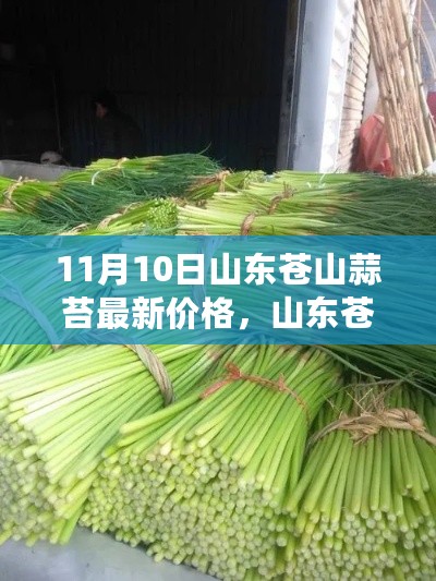 山东苍山蒜苔最新价格，科技引领智能新纪元！