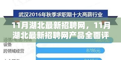 11月湖北最新招聘网产品全面评测介绍