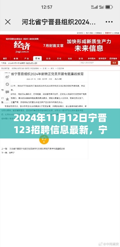 宁晋最新招聘信息速递，职业未来从这里起航（2024年11月）