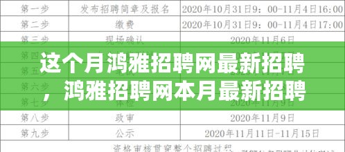 探寻职场新机遇脉搏，鸿雅招聘网本月最新招聘动态全解析