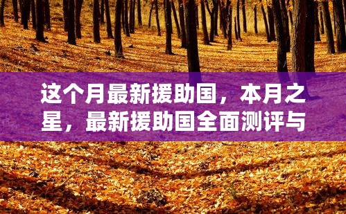 本月之星，全面测评与介绍最新援助国