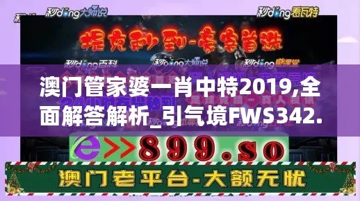 澳门管家婆一肖中特2019,全面解答解析_引气境FWS342.47