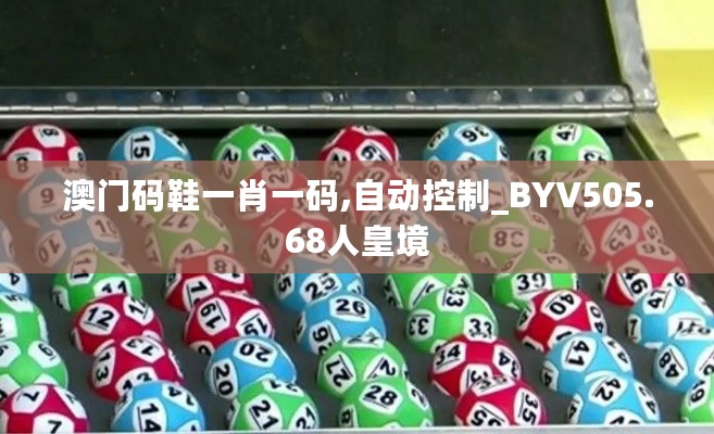 澳门码鞋一肖一码,自动控制_BYV505.68人皇境