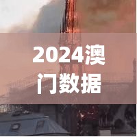 2024澳门数据热潮：全面解析与评价_涅槃境MIL397.39