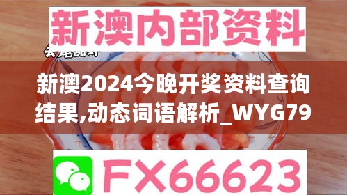 新澳2024今晚开奖资料查询结果,动态词语解析_WYG79.95机动版