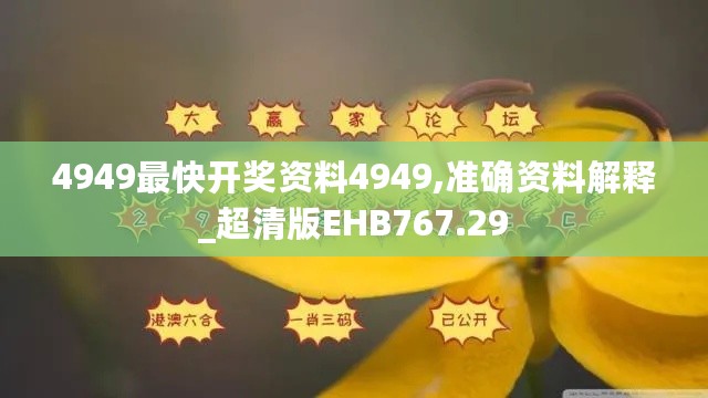 4949最快开奖资料4949,准确资料解释_超清版EHB767.29