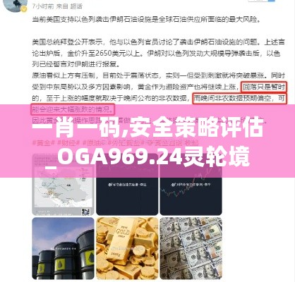 一肖一码,安全策略评估_OGA969.24灵轮境