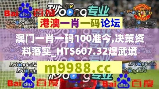 澳门一肖一码100准今,决策资料落实_HTS607.32煌武境