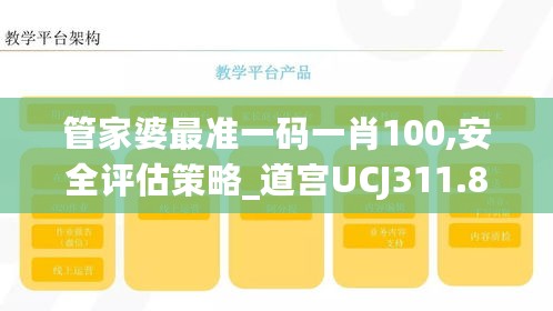 管家婆最准一码一肖100,安全评估策略_道宫UCJ311.84