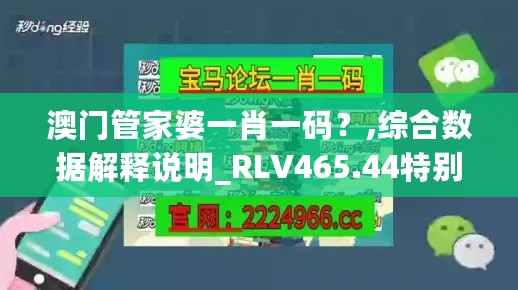 澳门管家婆一肖一码？,综合数据解释说明_RLV465.44特别版