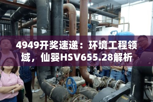 4949开奖速递：环境工程领域，仙婴HSV655.28解析