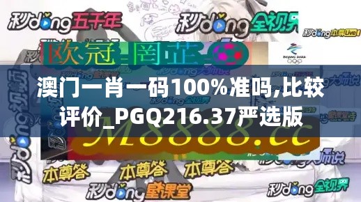 澳门一肖一码100%准吗,比较评价_PGQ216.37严选版