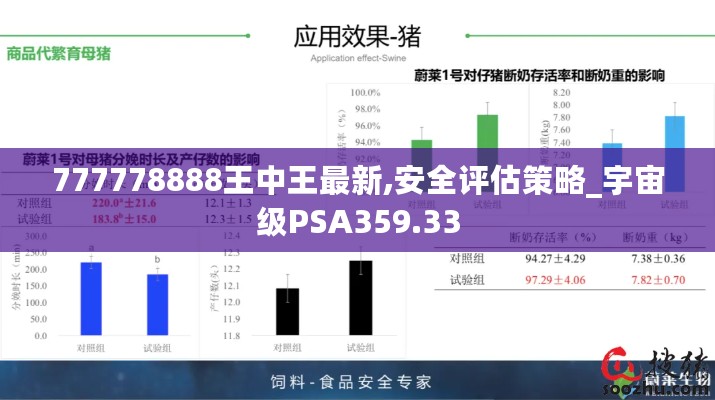 777778888王中王最新,安全评估策略_宇宙级PSA359.33