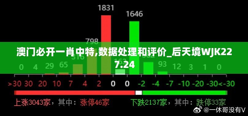 澳门必开一肖中特,数据处理和评价_后天境WJK227.24