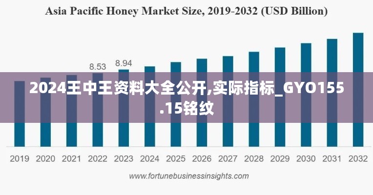 2024王中王资料大全公开,实际指标_GYO155.15铭纹