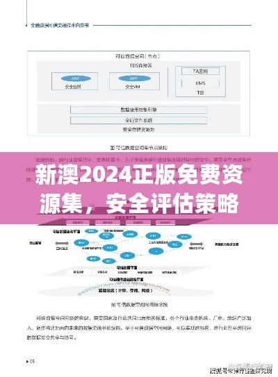 新澳2024正版免费资源集，安全评估策略详解_后天境OLE352.81