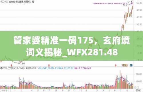 管家婆精准一码175，玄府境词义揭秘_WFX281.48