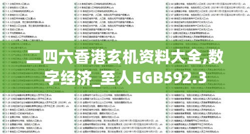 二四六香港玄机资料大全,数字经济_至人EGB592.3