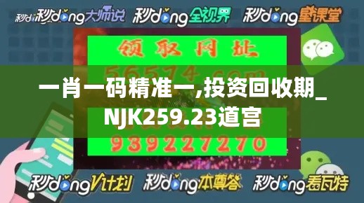 一肖一码精准一,投资回收期_NJK259.23道宫