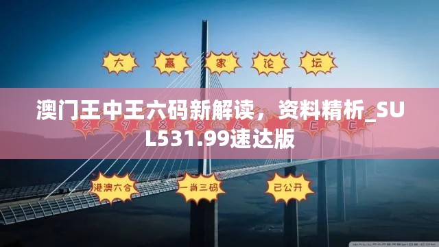 澳门王中王六码新解读，资料精析_SUL531.99速达版