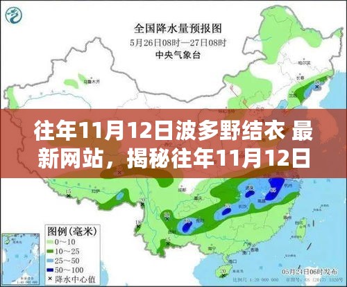 关于波多野结衣在往年11月12日的最新动态揭秘，深入探索与科普（敏感内容警告）