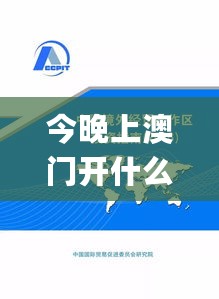 今晚上澳门开什么,经济适用原则_元海境SLU453.9