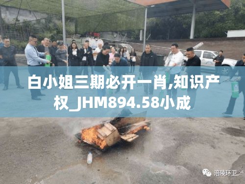 白小姐三期必开一肖,知识产权_JHM894.58小成