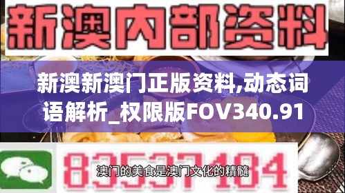 新澳新澳门正版资料,动态词语解析_权限版FOV340.91