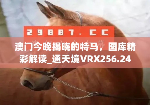 澳门今晚揭晓的特马，图库精彩解读_通天境VRX256.24